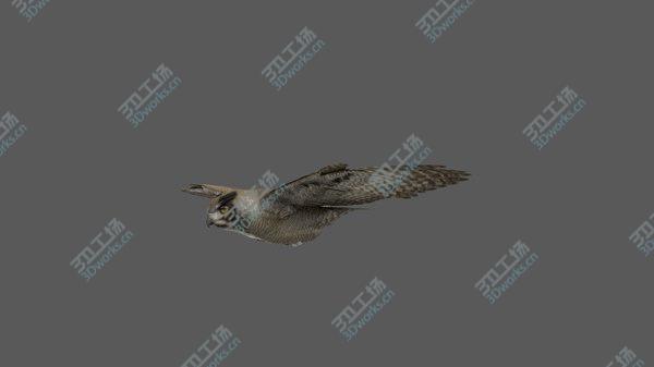 images/goods_img/20210312/3D Great Horned Owl Animated model/5.jpg